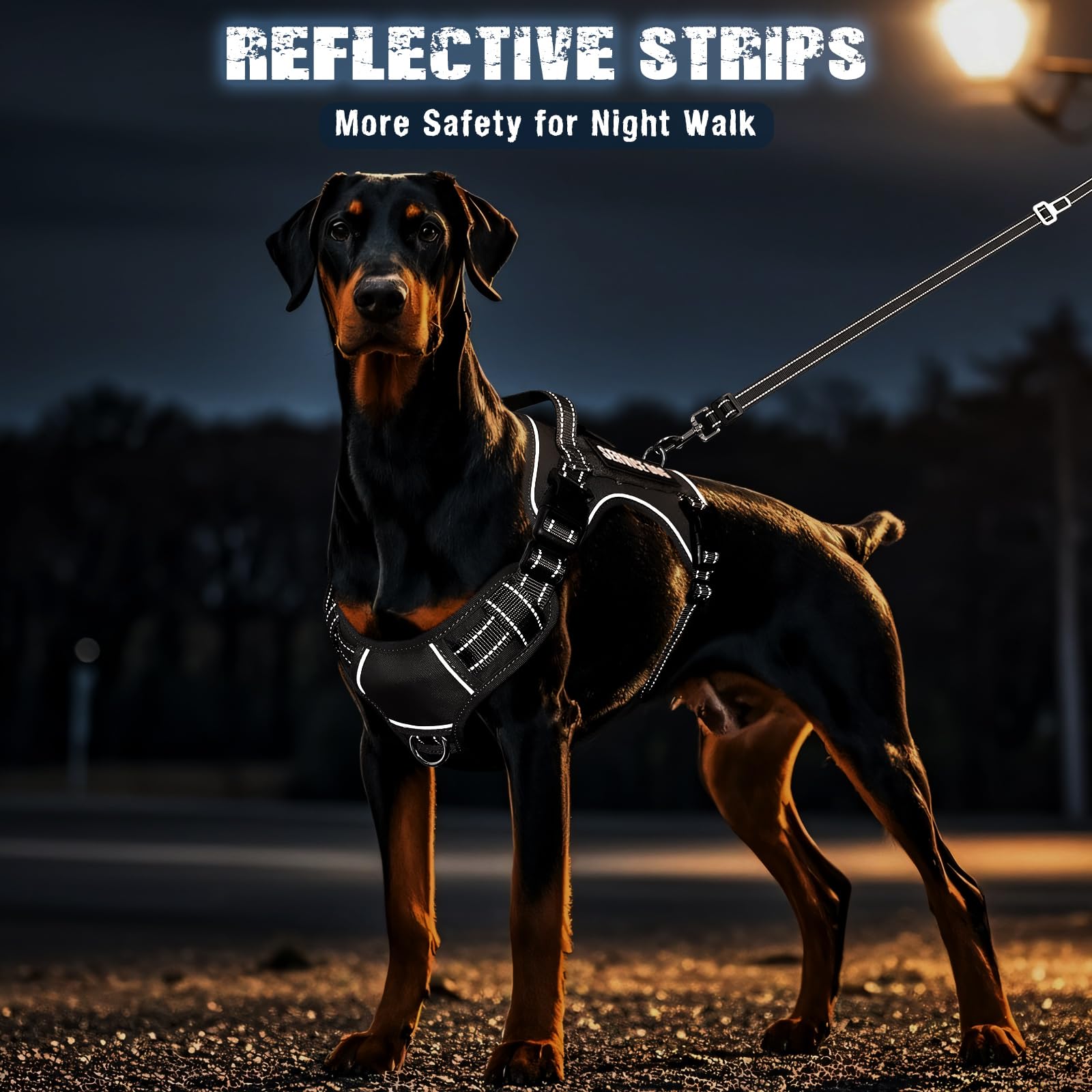 MOOGROU size chart fit guidance for choosing the right harness size