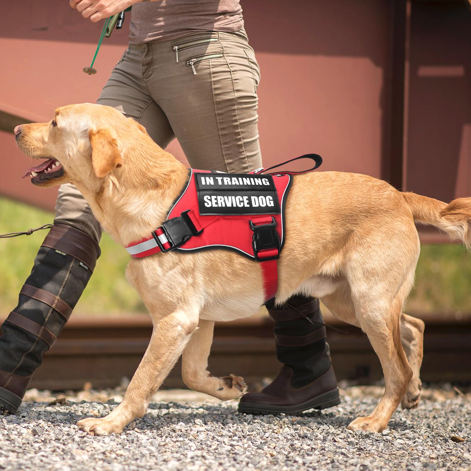 MOOGROU size guide to ensure perfect fit for dogs