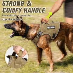 MOOGROU harness back detail showing secure D-rings for leash attachment during hikes