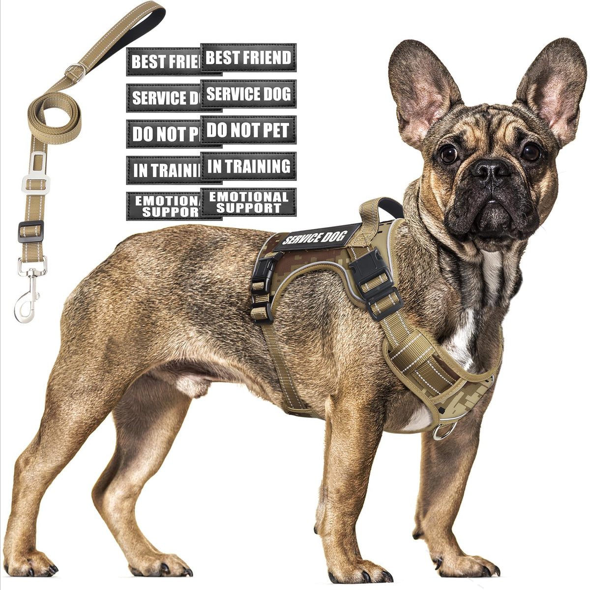 MOOGROU tactical dog harness front view showing no-pull design for training