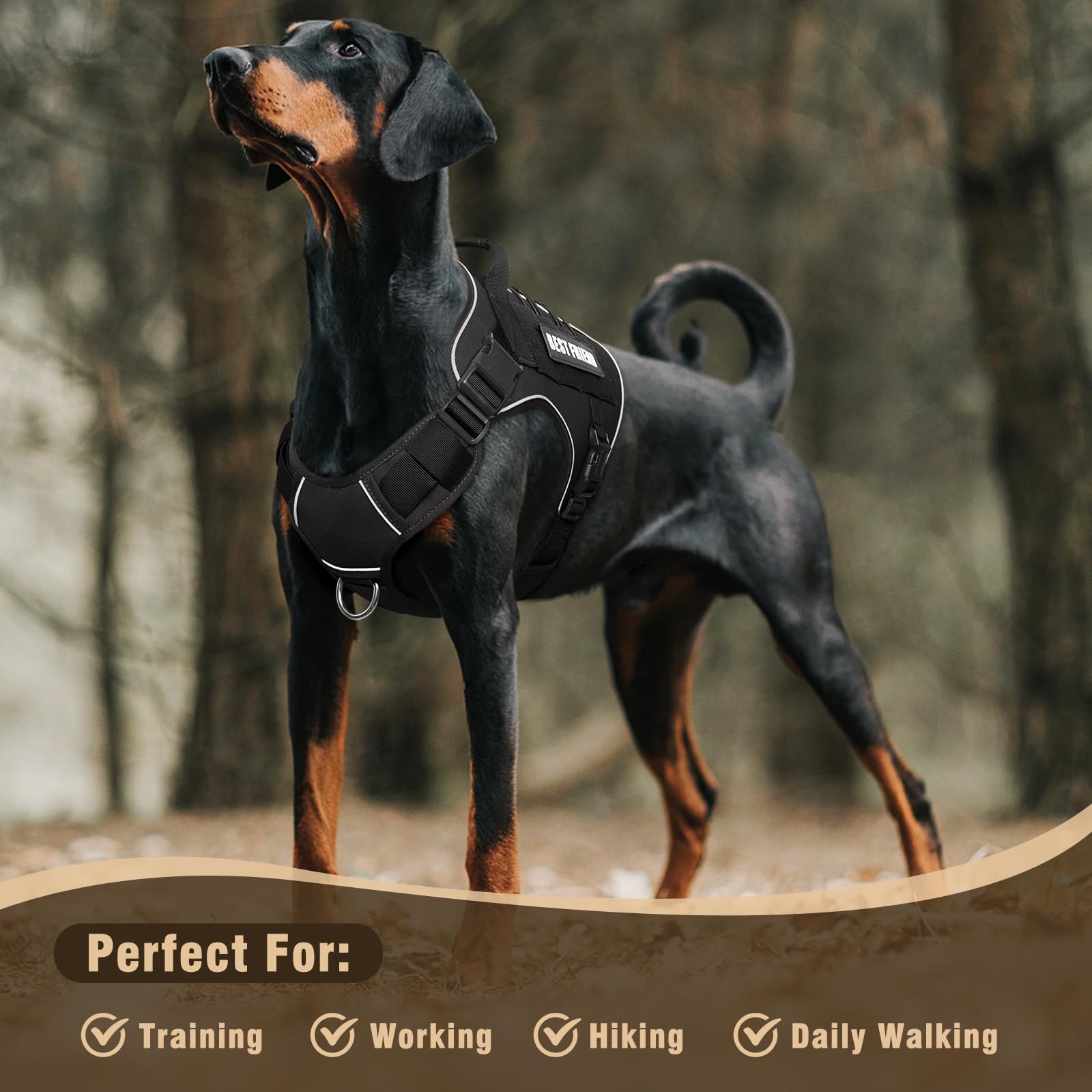 MOOGROU harness in action during walking and hiking