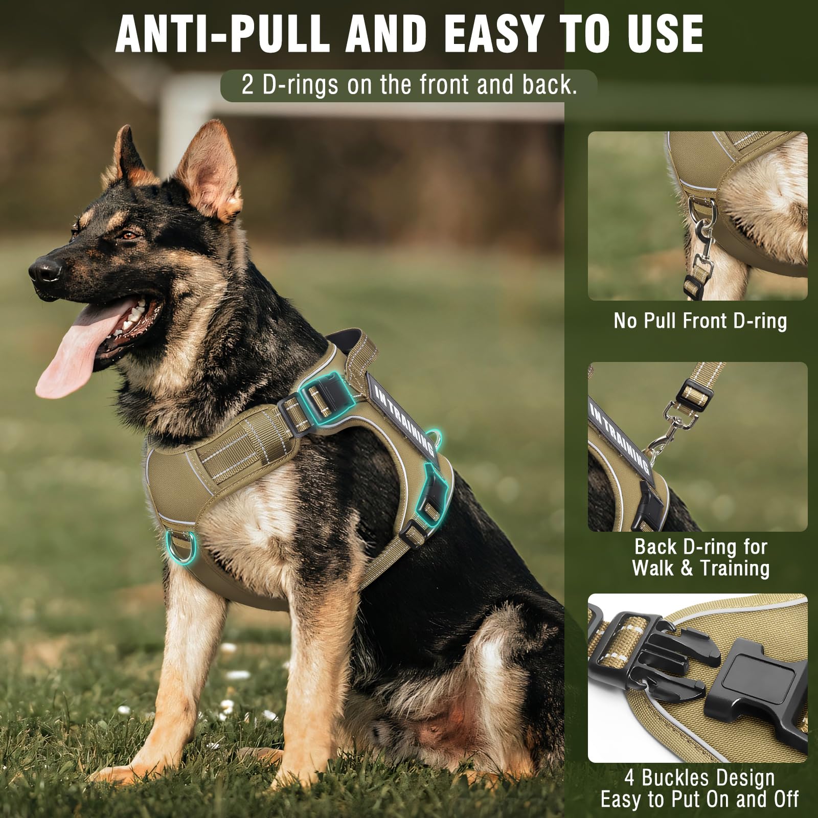 MOOGROU harness with reflective strips improves night visibility for safe walks