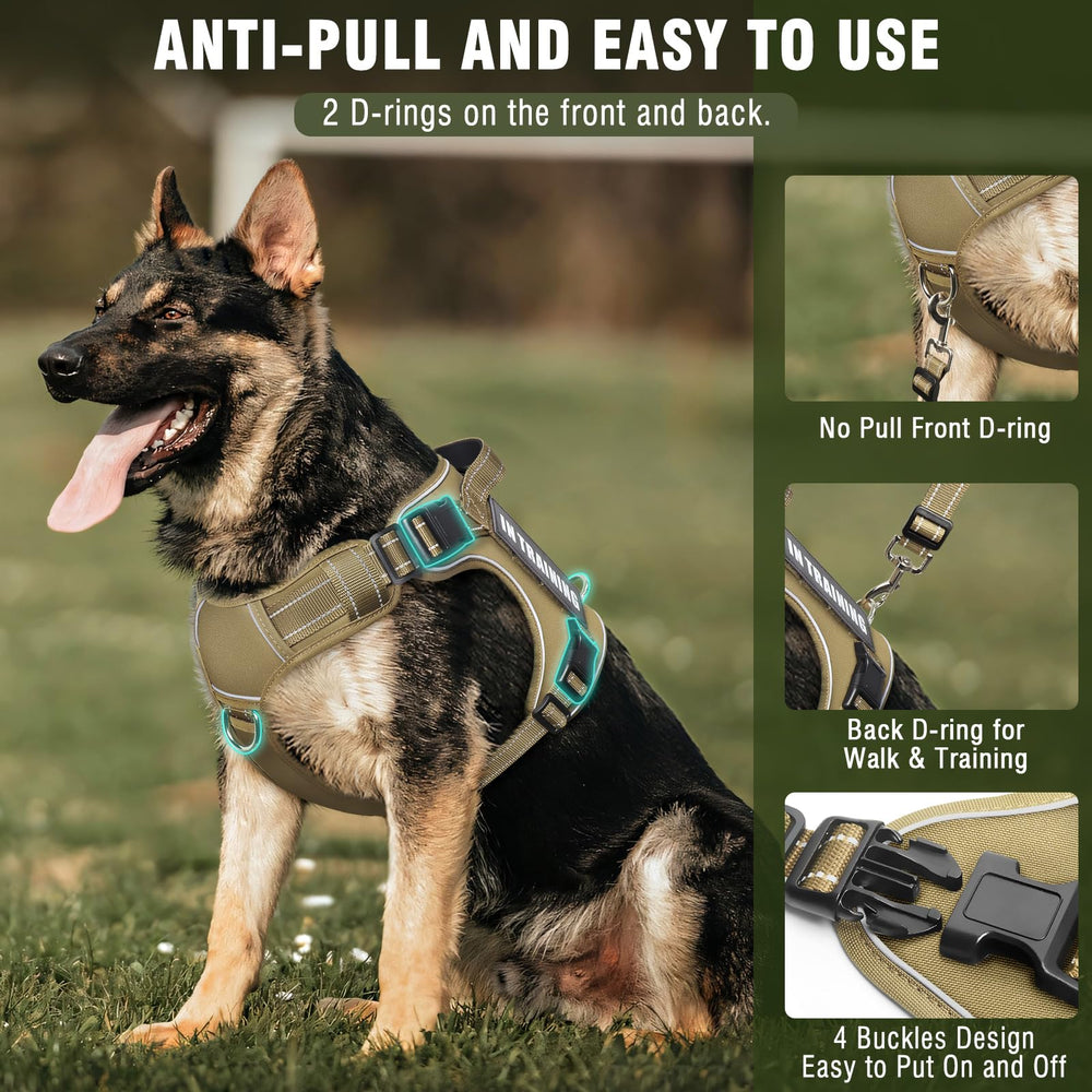 MOOGROU harness with reflective strips improves night visibility for safe walks