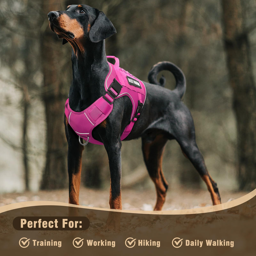 MOOGROU tactical dog harness side-entry dress for easy fitting