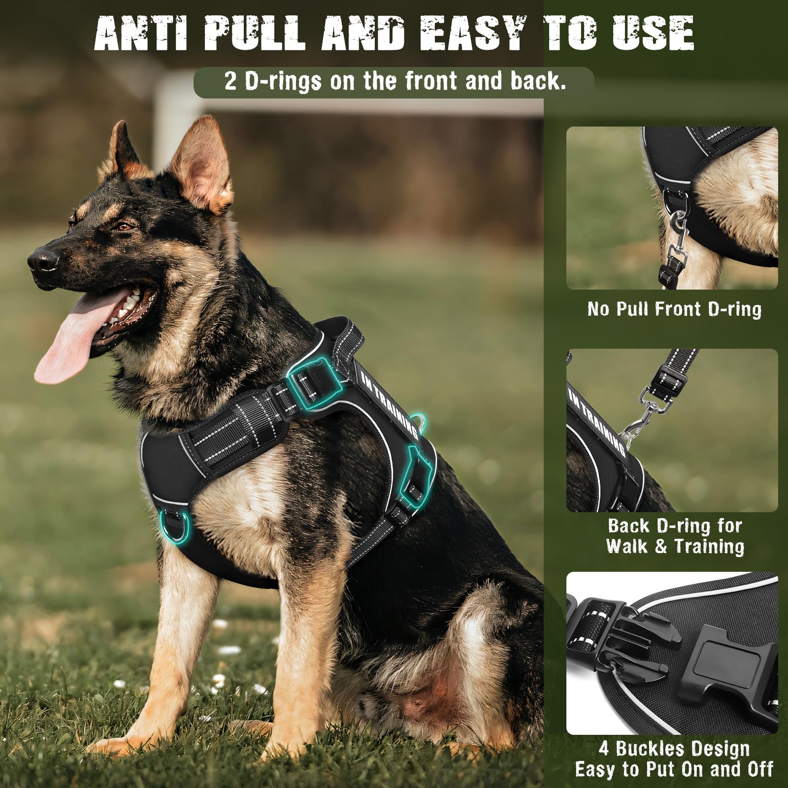 MOOGROU two-in-one dog leash doubles as car seat belt.