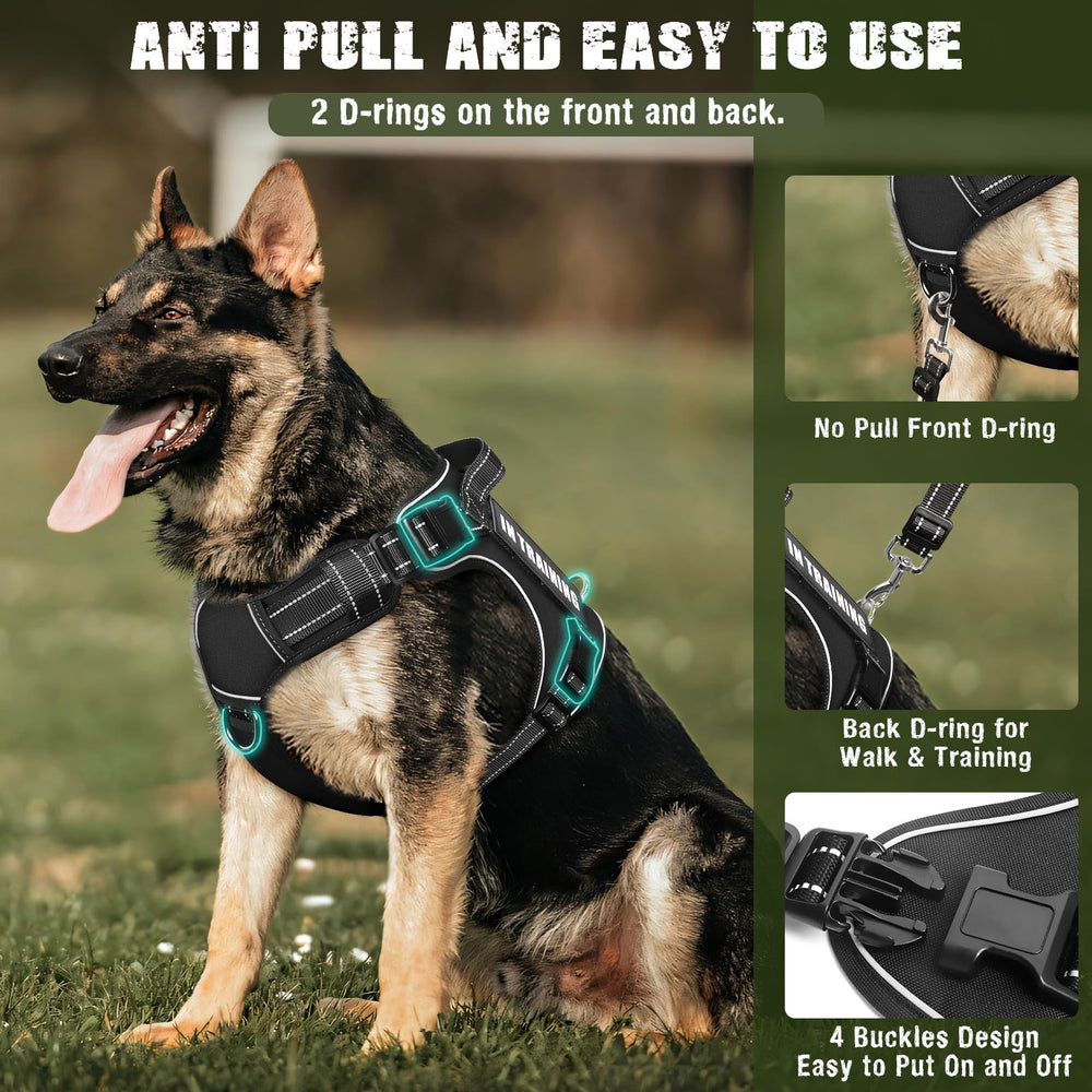 MOOGROU two-in-one dog leash doubles as car seat belt.