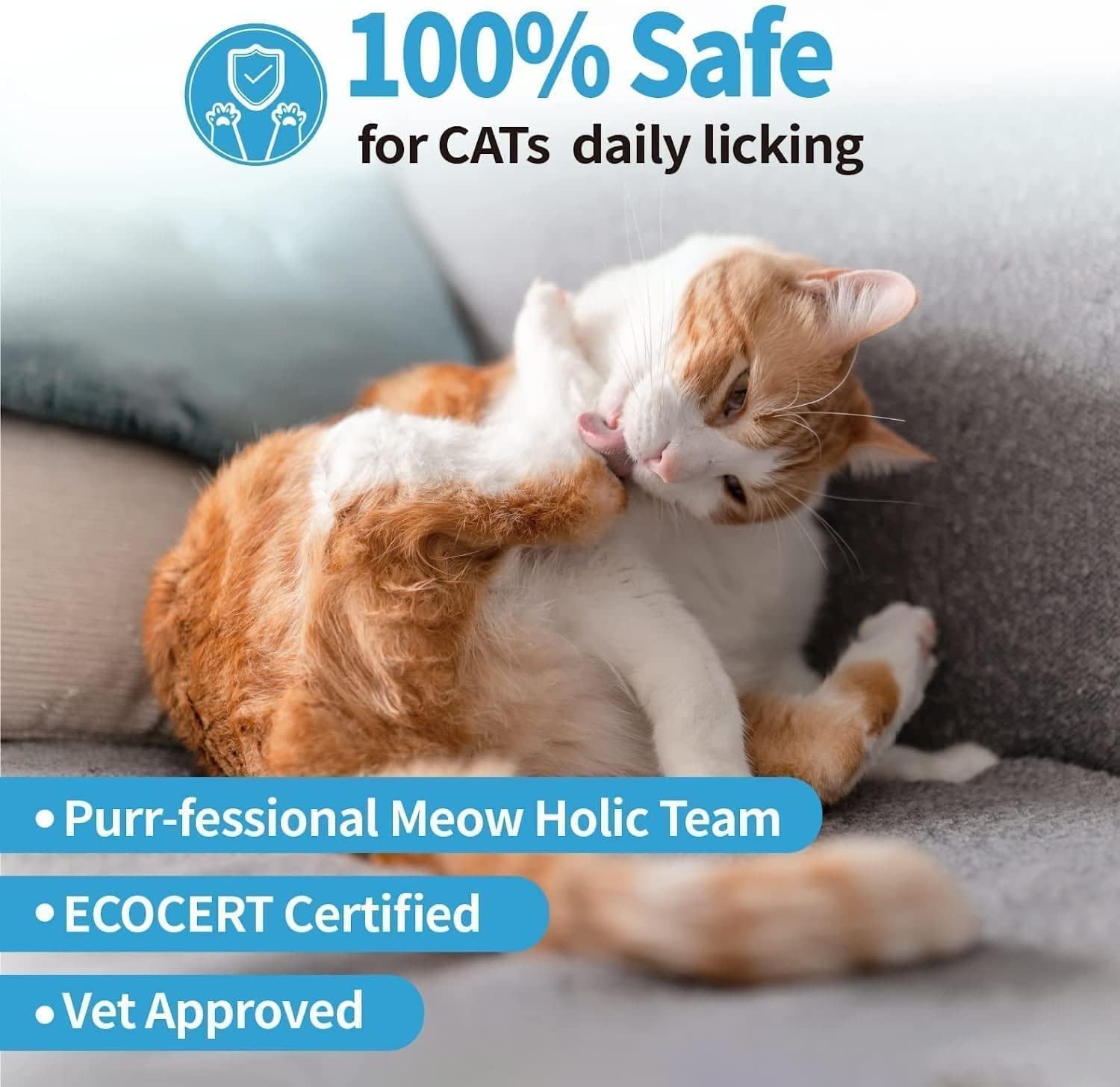 Mooncat travel-kit essentials show compact care for trips