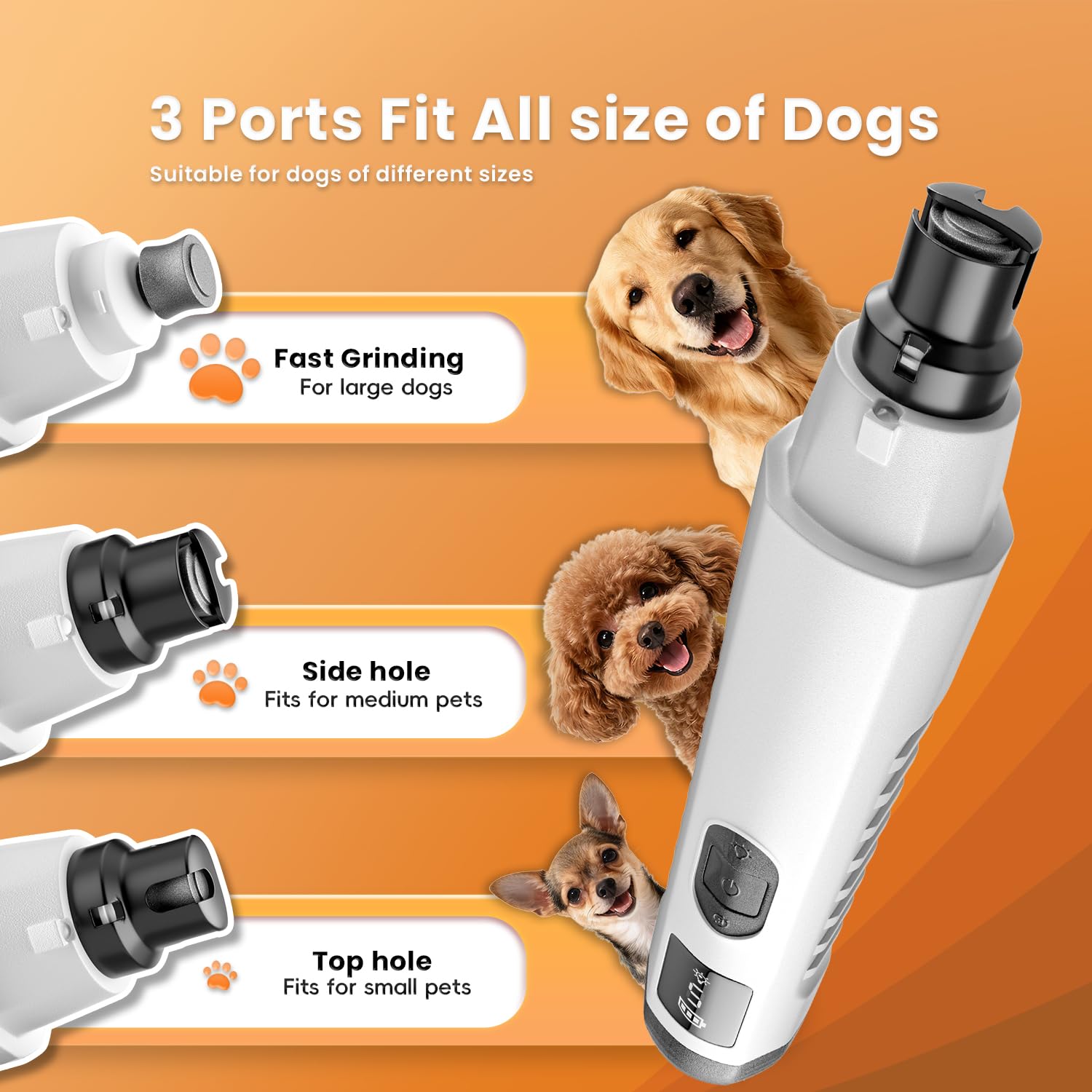 MOONEON three port design supporting paws of different sizes