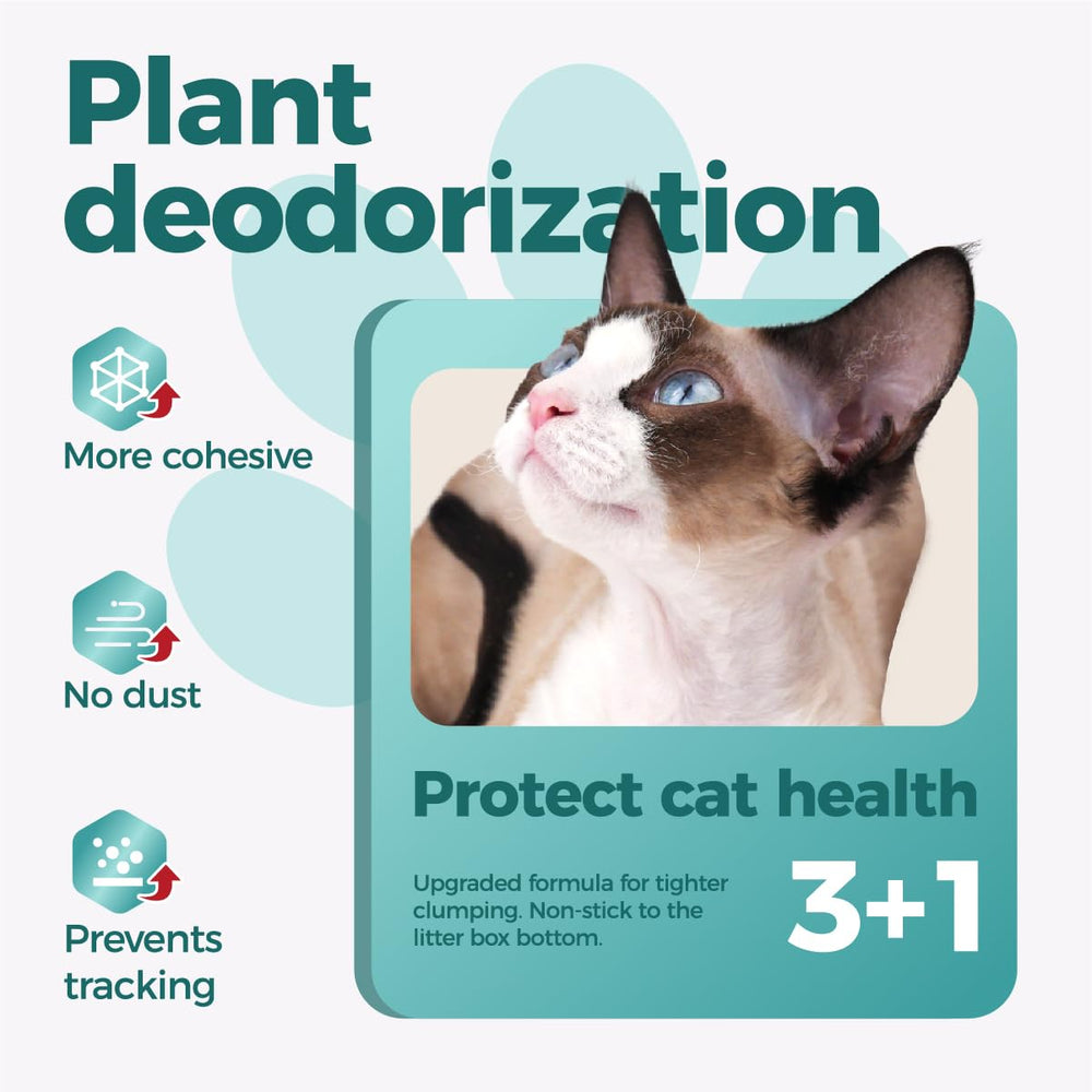 MOONFOREST Tapioca Cat Litter ultra-low-dust image highlights a cleaner litter area.