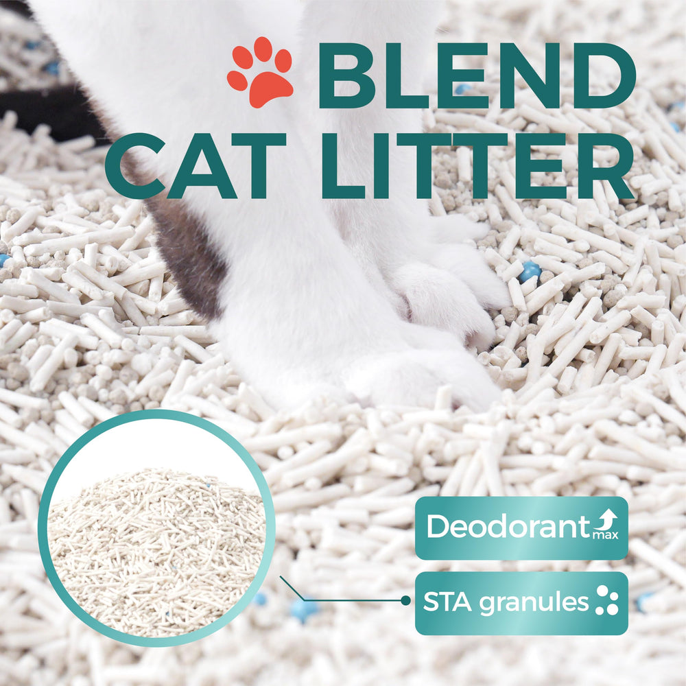 MoonForest Tofu Cat Litter clumping formation for easy, scoop-ready cleanup.