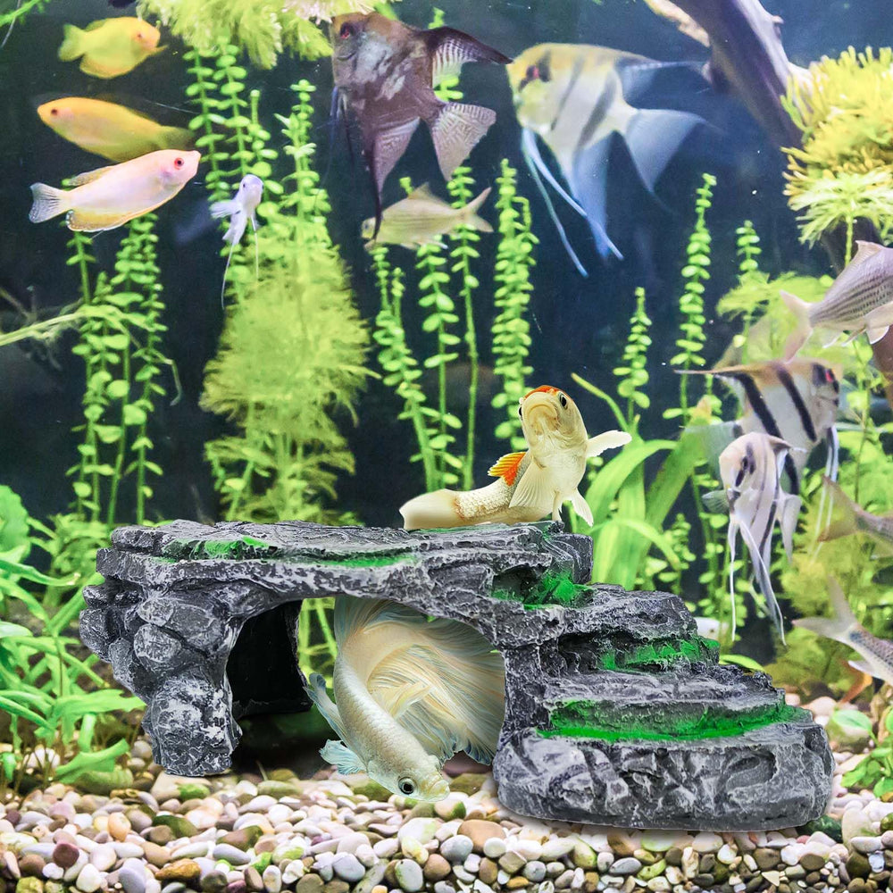 MoonOrange Aquarium Terrarium Setup with Platform – versatile integration for species.