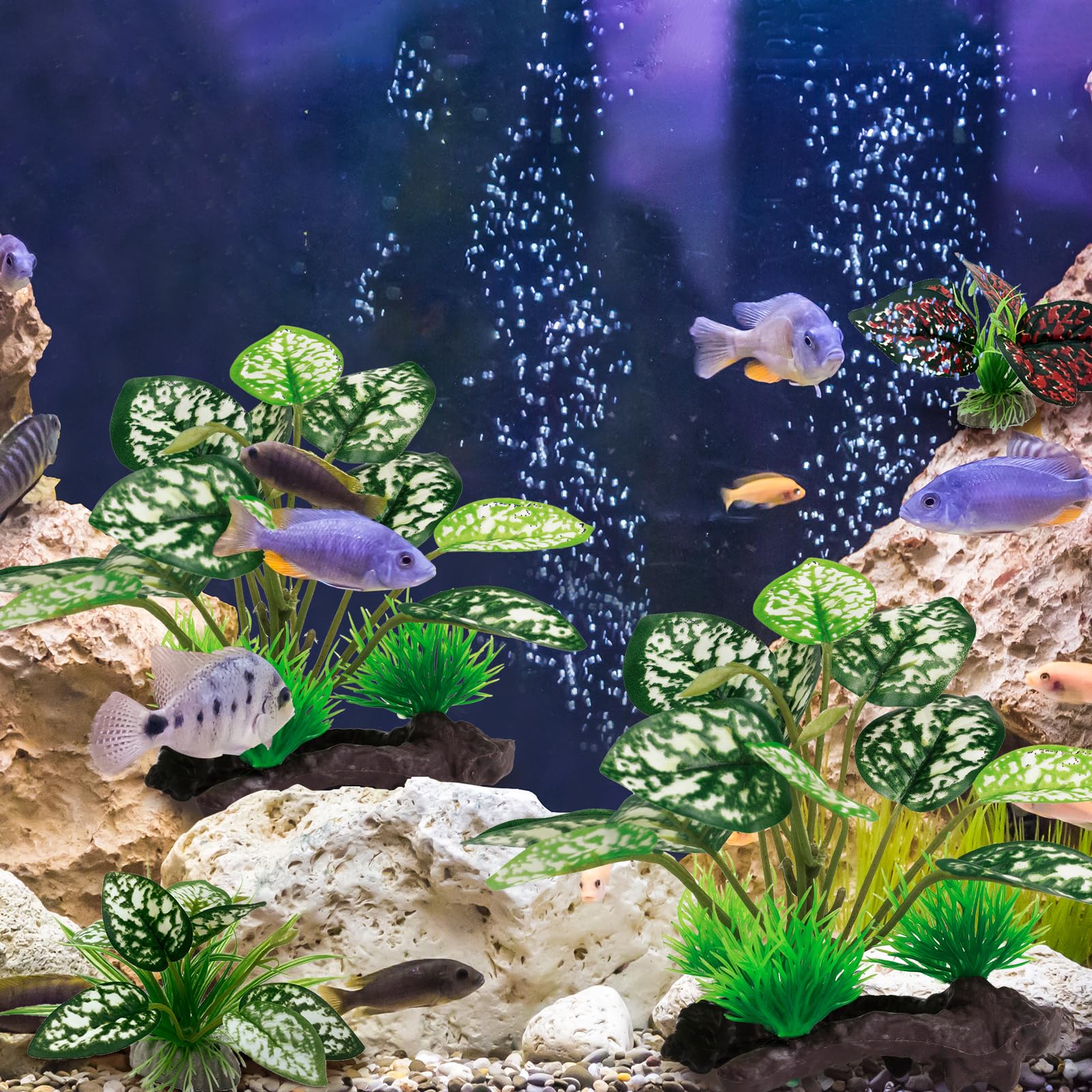 Moonorange easy-clean plants safe plastic design simplifies maintenance and pet safety.