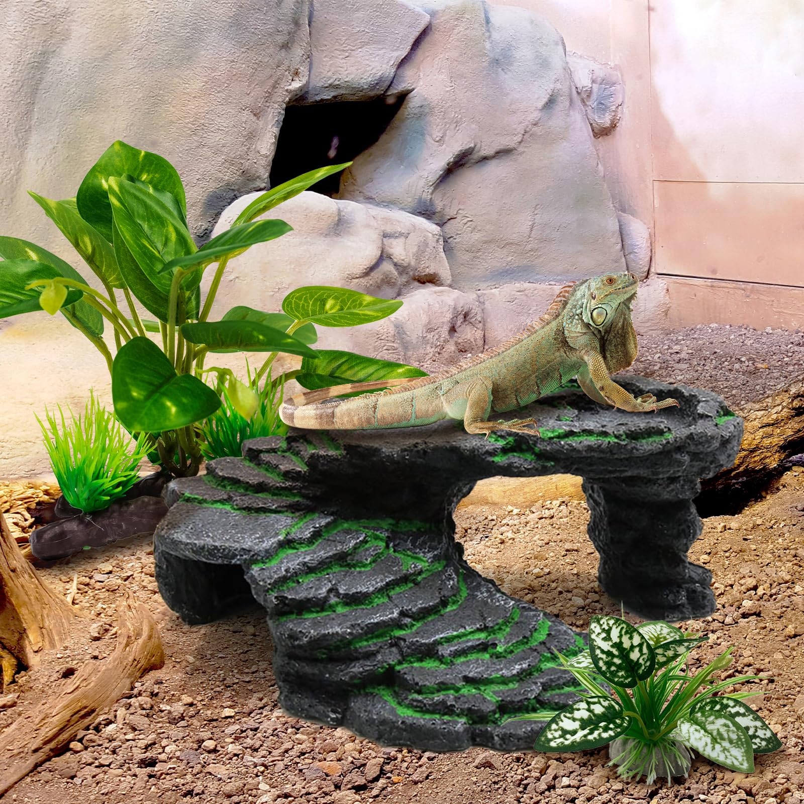 Moonorange fake plants with pedestal demonstrates stable base preventing floating in terrariums.