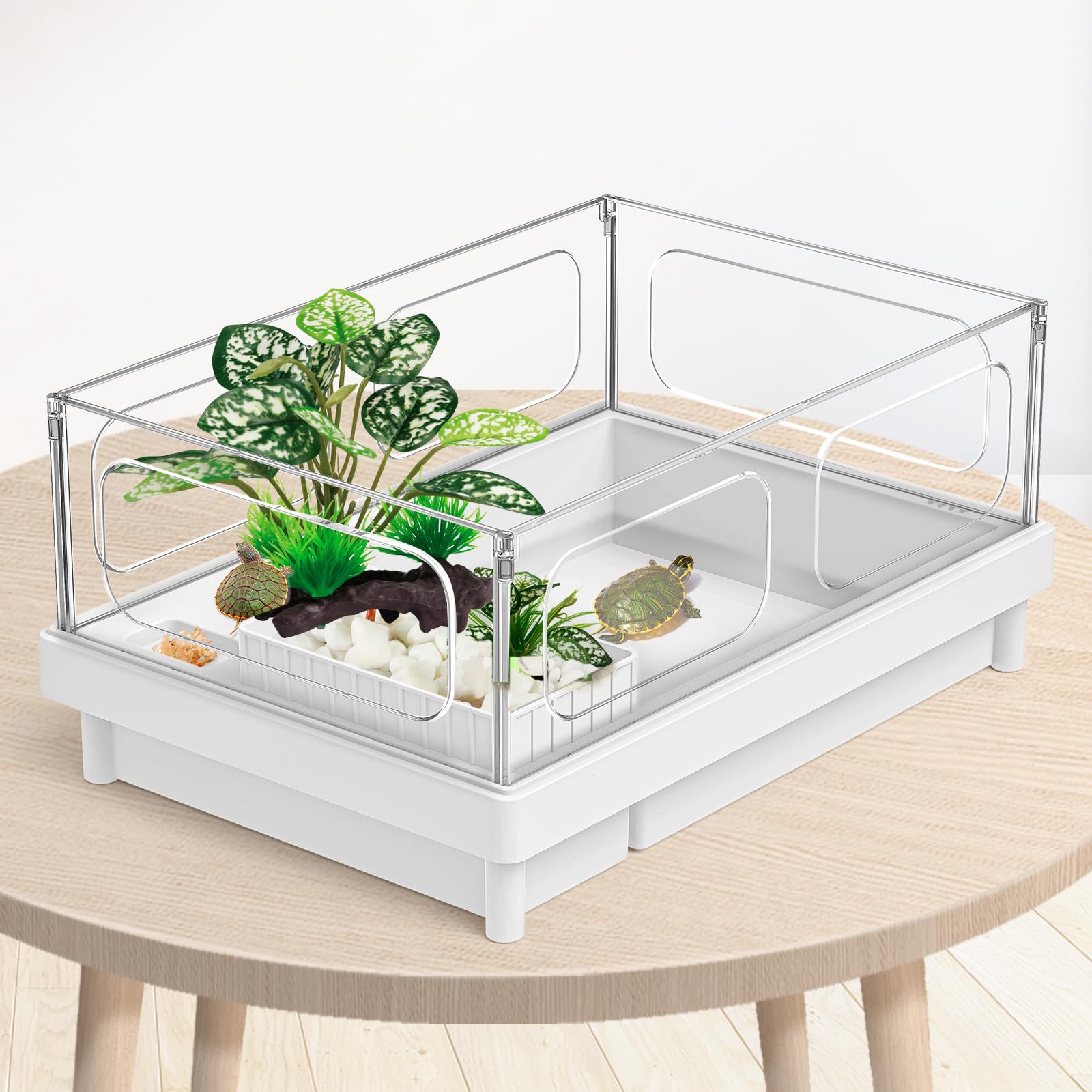 Moonorange four-pack terrarium plants enhances enclosure aesthetics and layout.