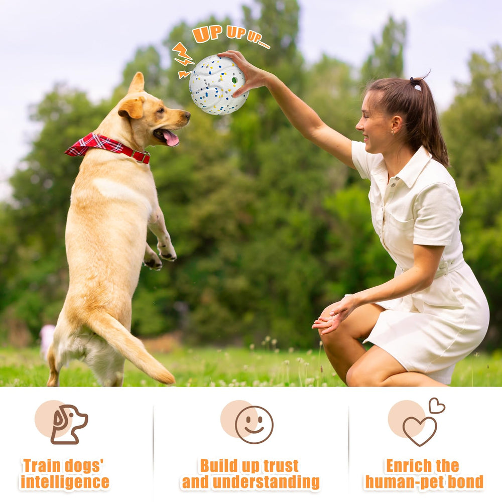 Moonorange large dog ball ideal for outdoor training and park play