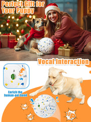 Moonorange large dog ball 5-inch size supports fetch and training sessions