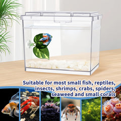 Moonorange mini betta tank decor-friendly transparent cube for home styling