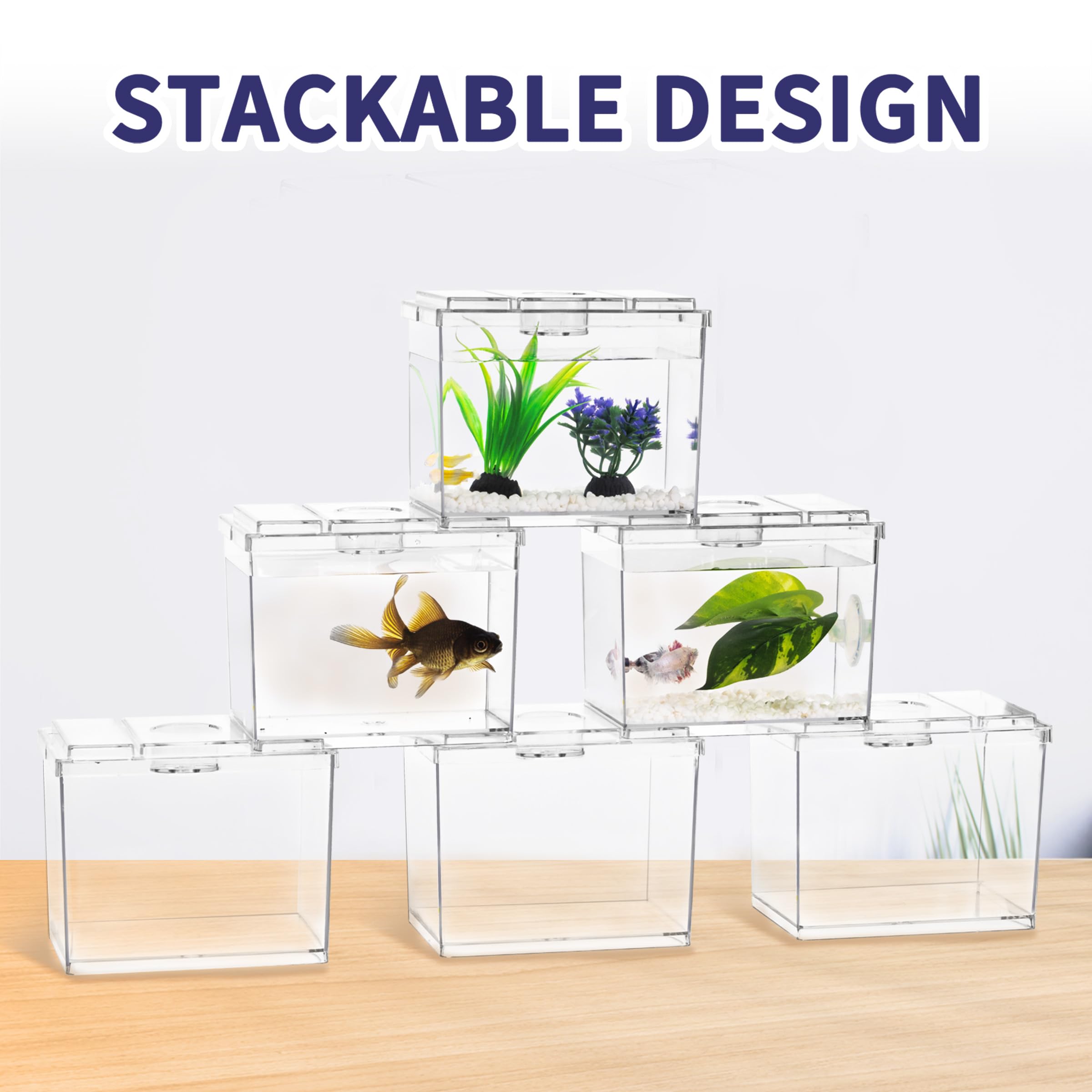 Moonorange mini betta tank easy-clean design with smooth surfaces