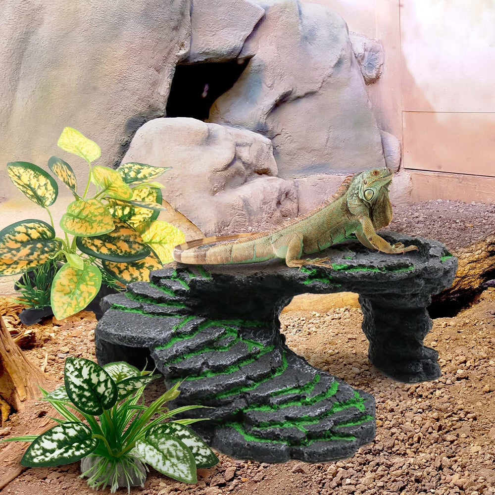 Moonorange plants with pedestals ensure stable placement in tanks