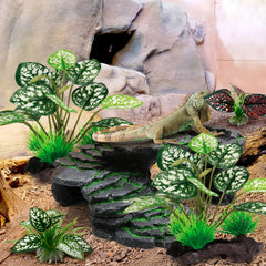 Moonorange plants with pedestal base design prevents floating for a stable tank setup.