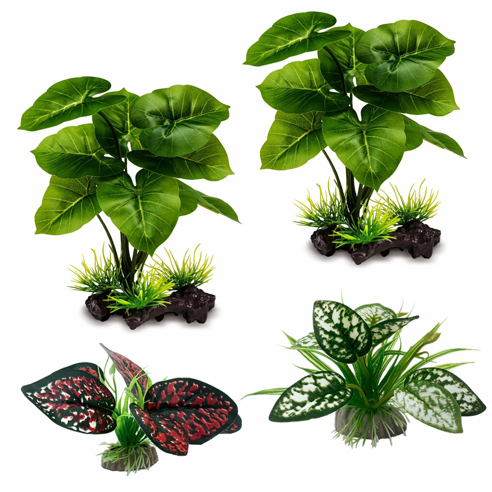Moonorange reptile plant leaves close-up for realistic terrarium decor.