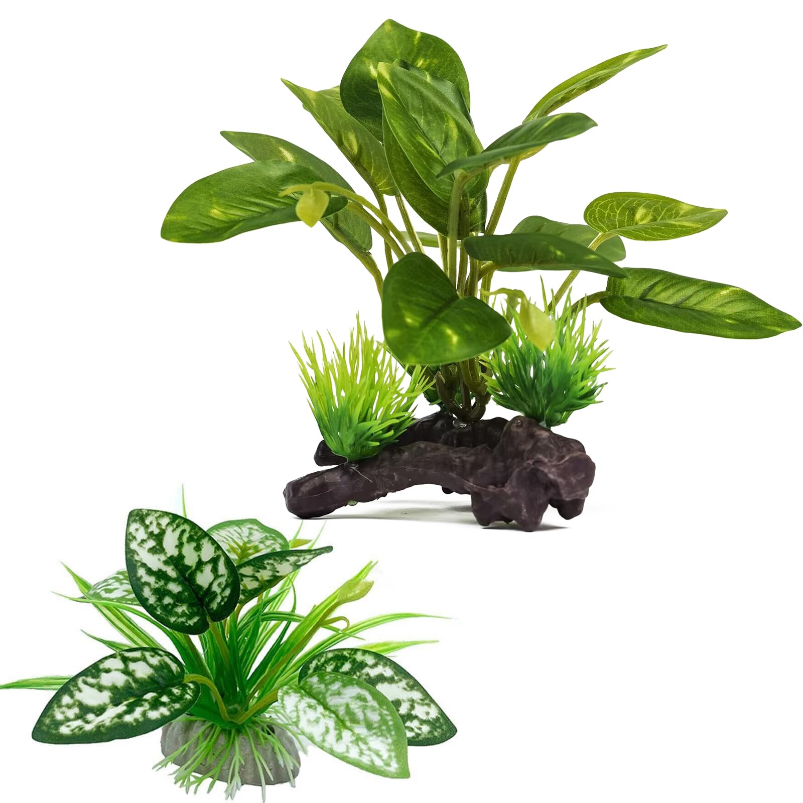 Moonorange reptile plants tank-setup shows safe hiding and enrichment for small pets.