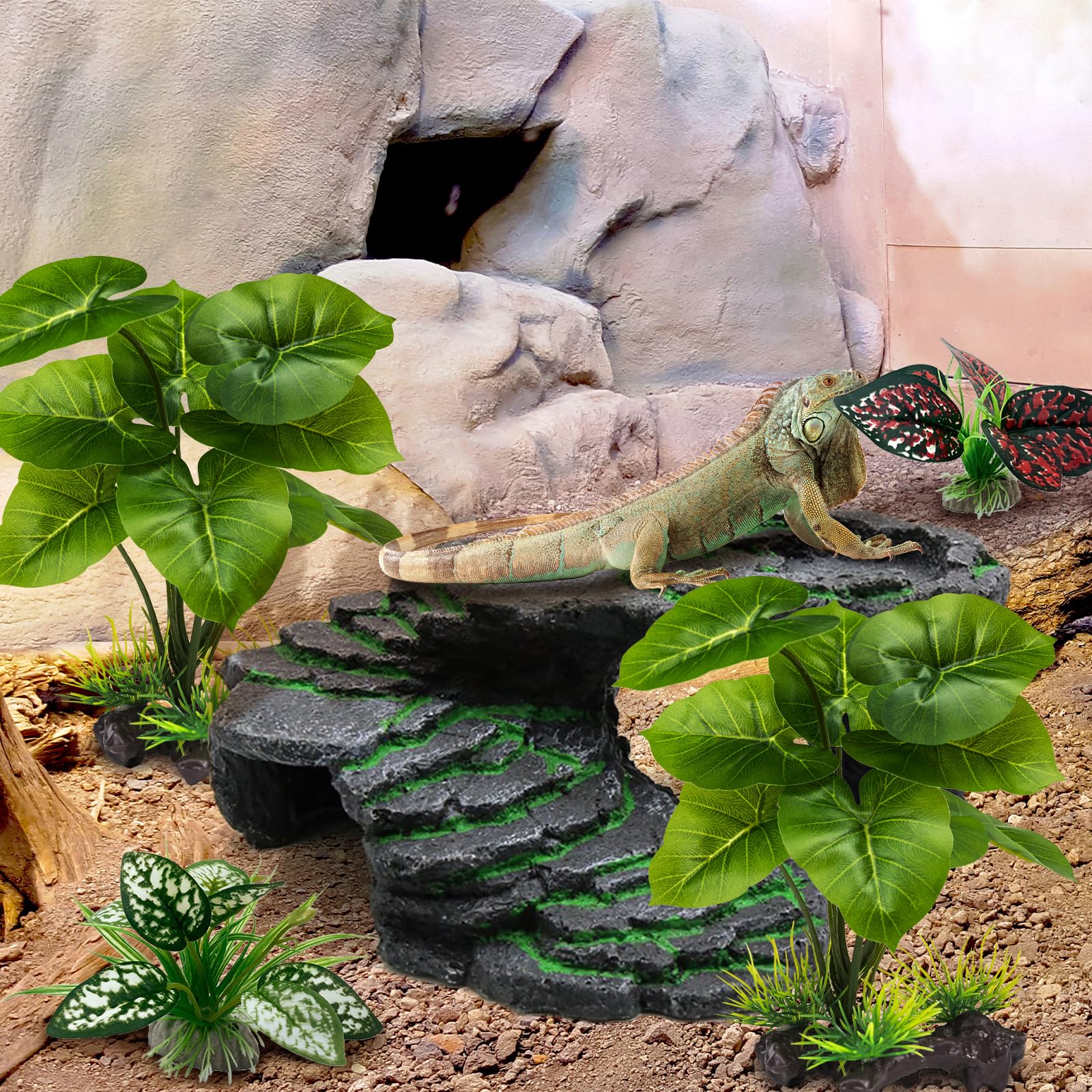 Moonorange reptile plants terrarium setup with branches for creature privacy.