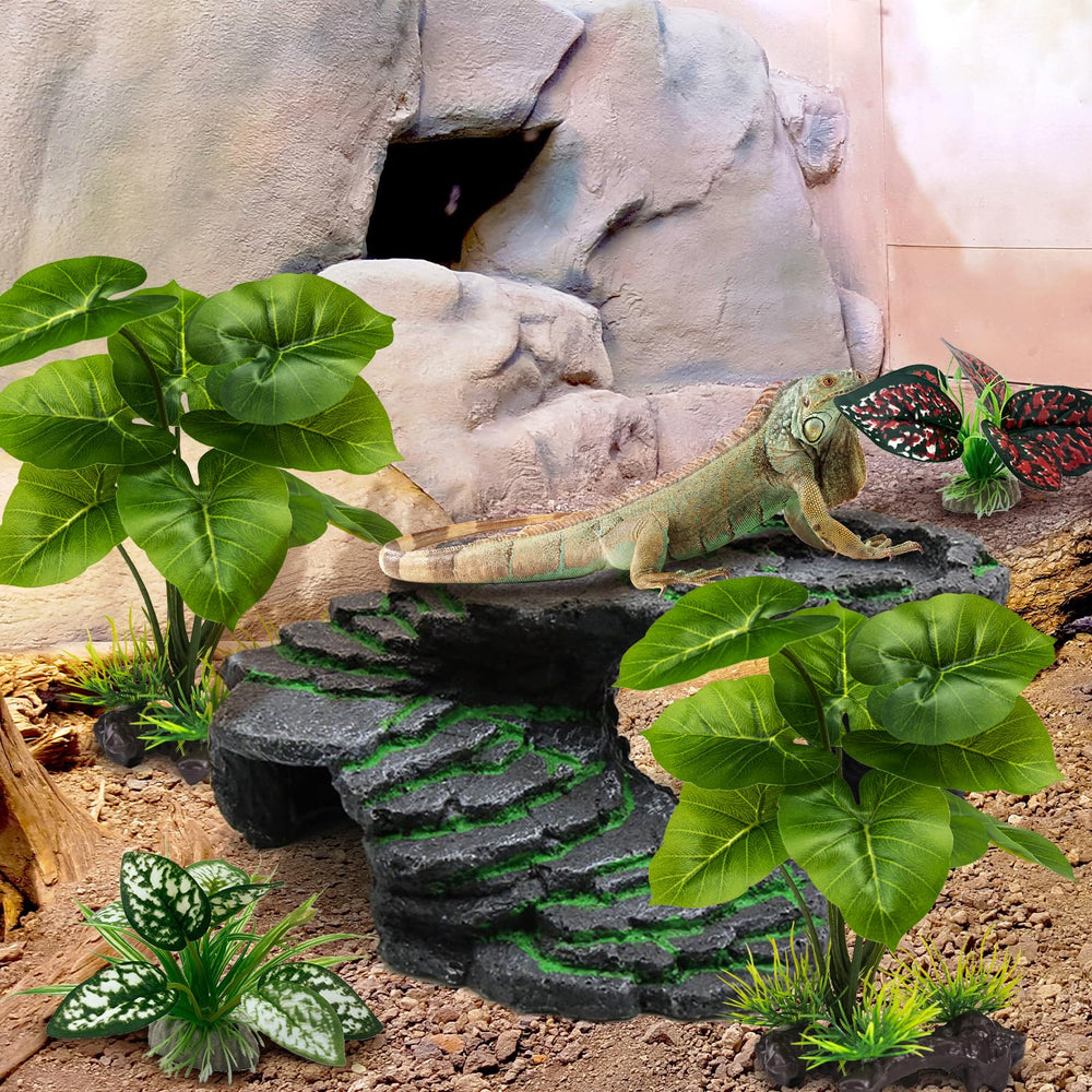 Moonorange reptile plants terrarium setup with branches for creature privacy.