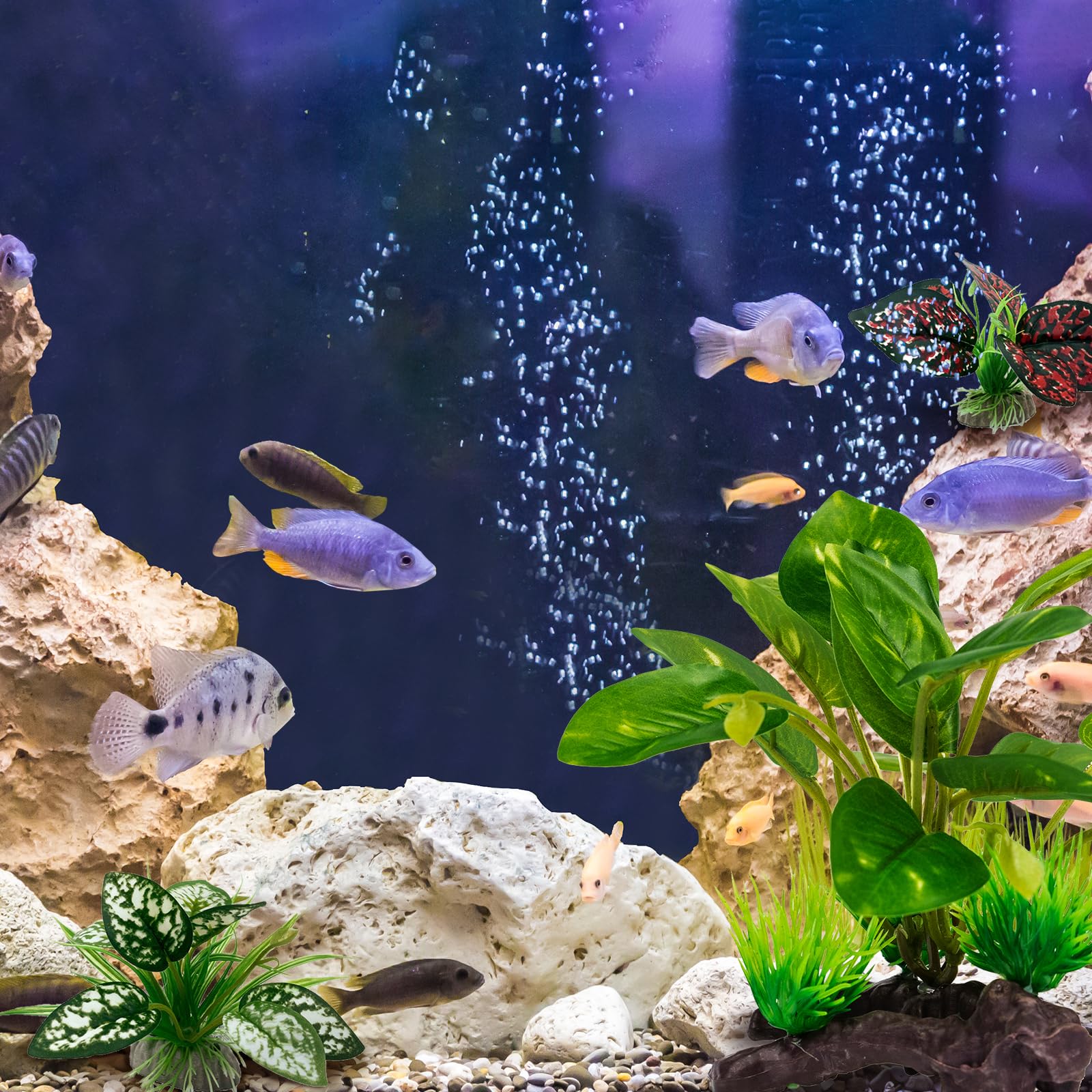 Moonorange terrarium decoration wide view shows versatile habitat setup for reptiles, fish, and amphibians.