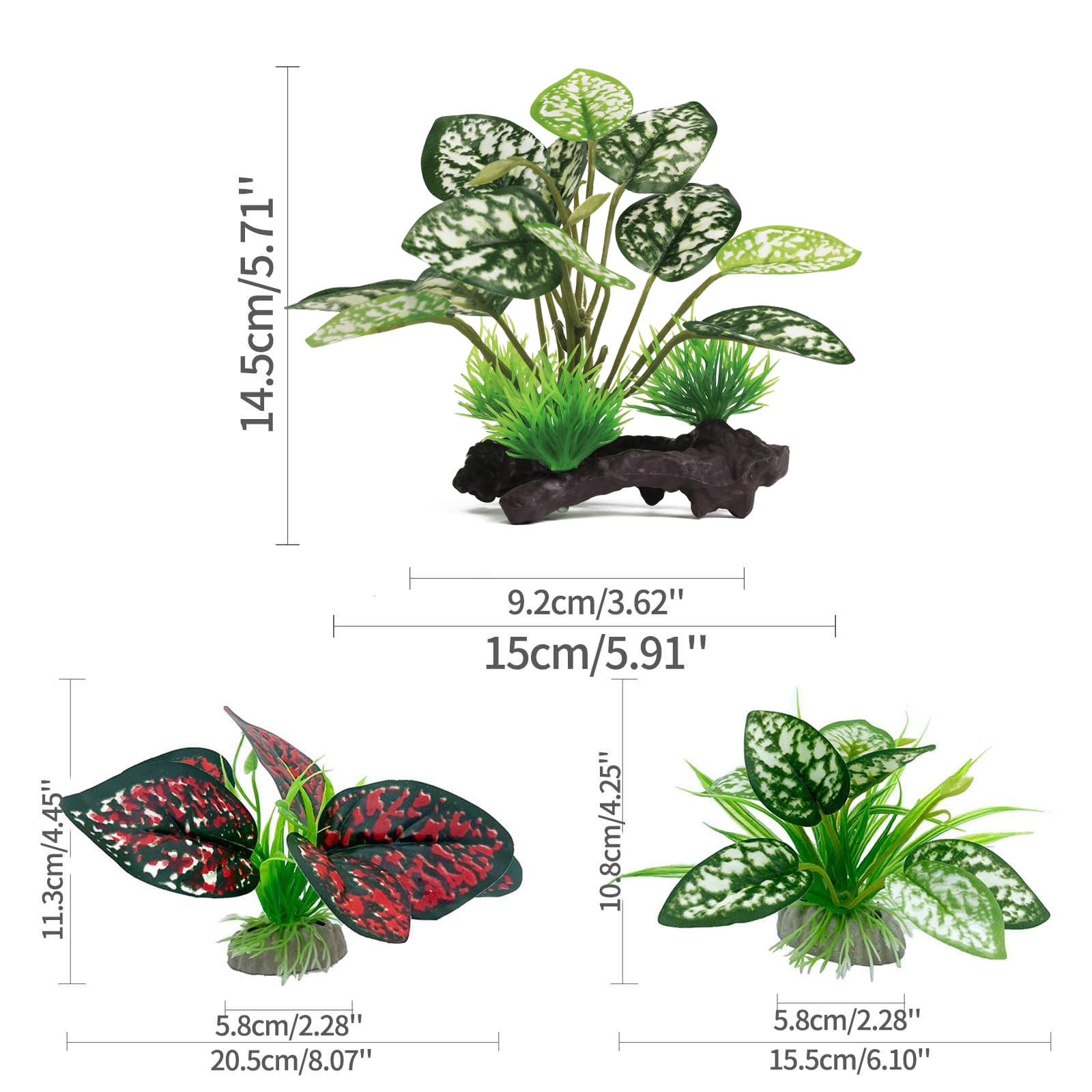 Moonorange terrarium plants assembly showing realistic foliage for natural habitat.