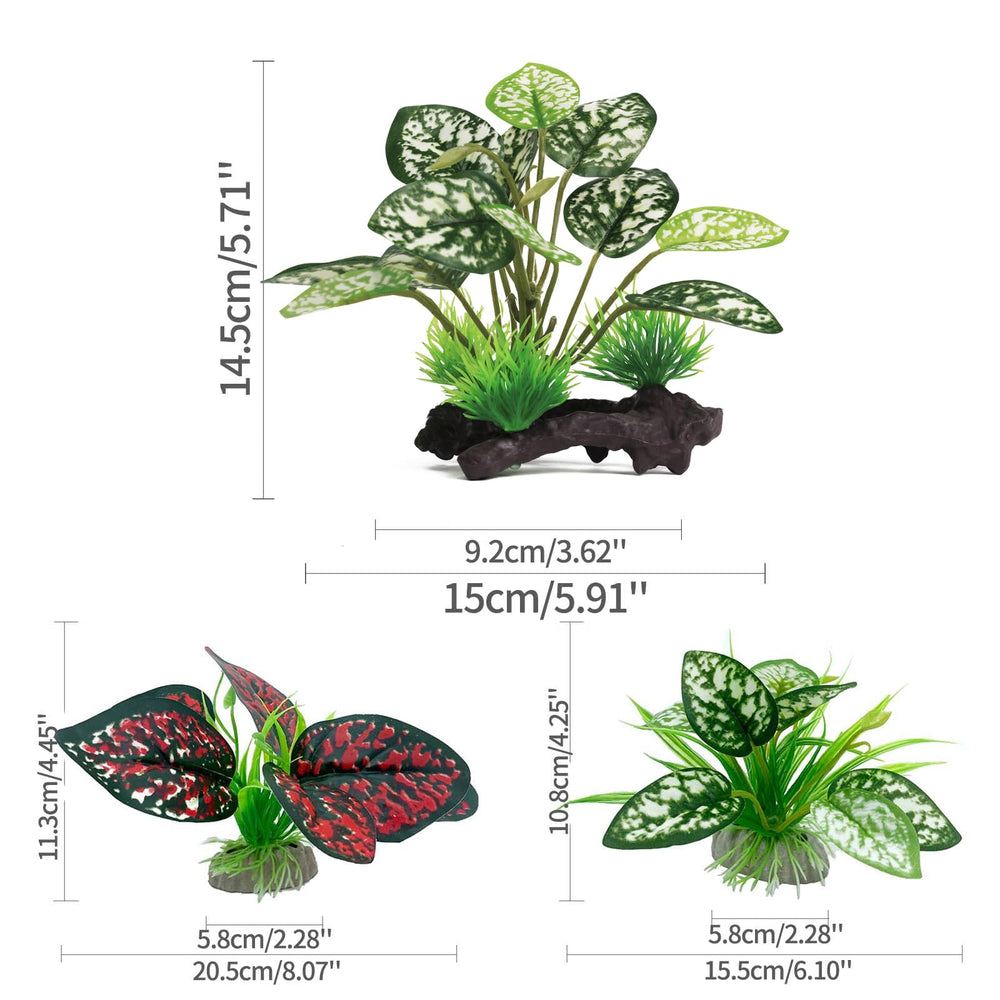 Moonorange terrarium plants assembly showing realistic foliage for natural habitat.