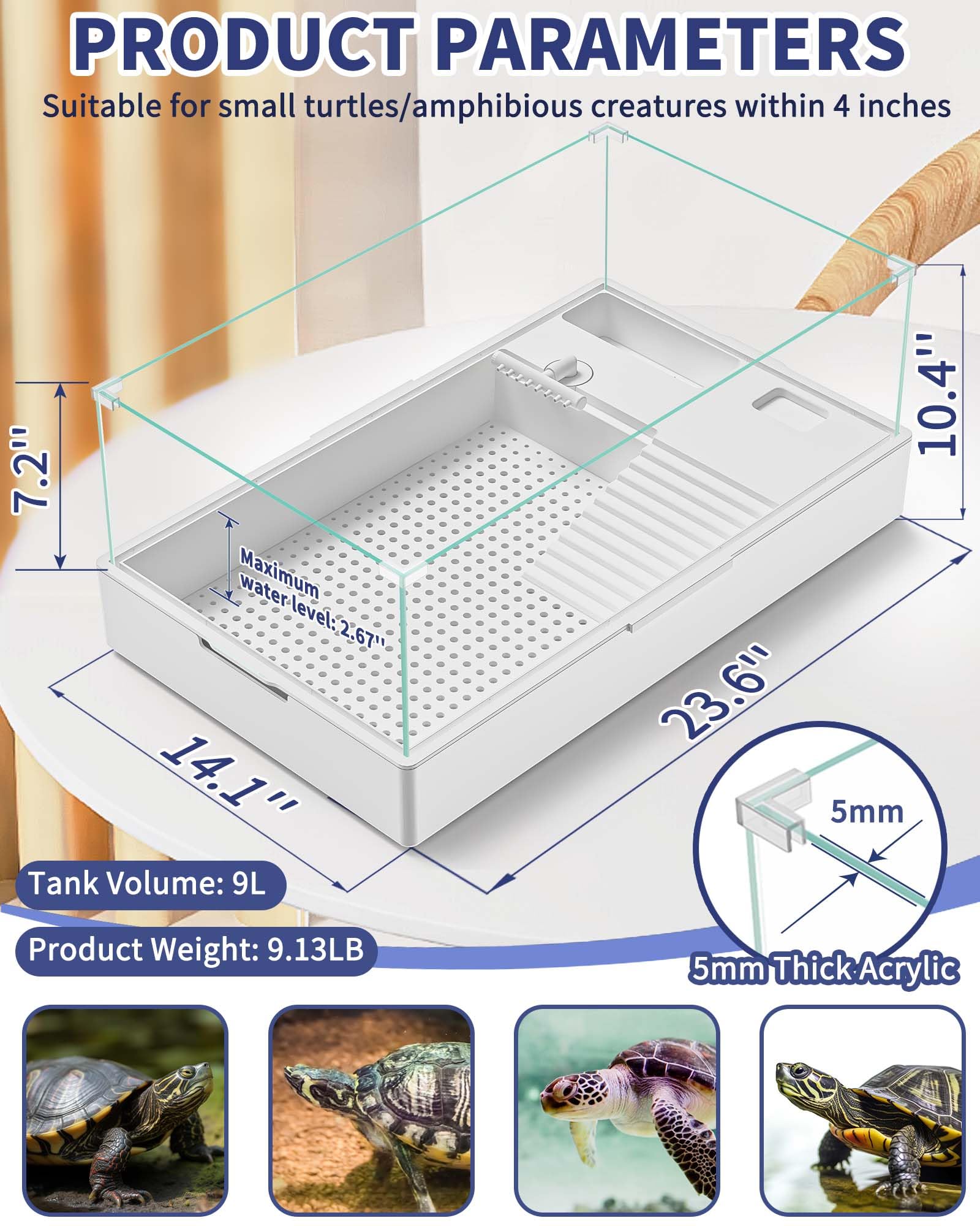 MoonOrange Turtle Tank top view highlighting multi-zone layout for swimming and resting.