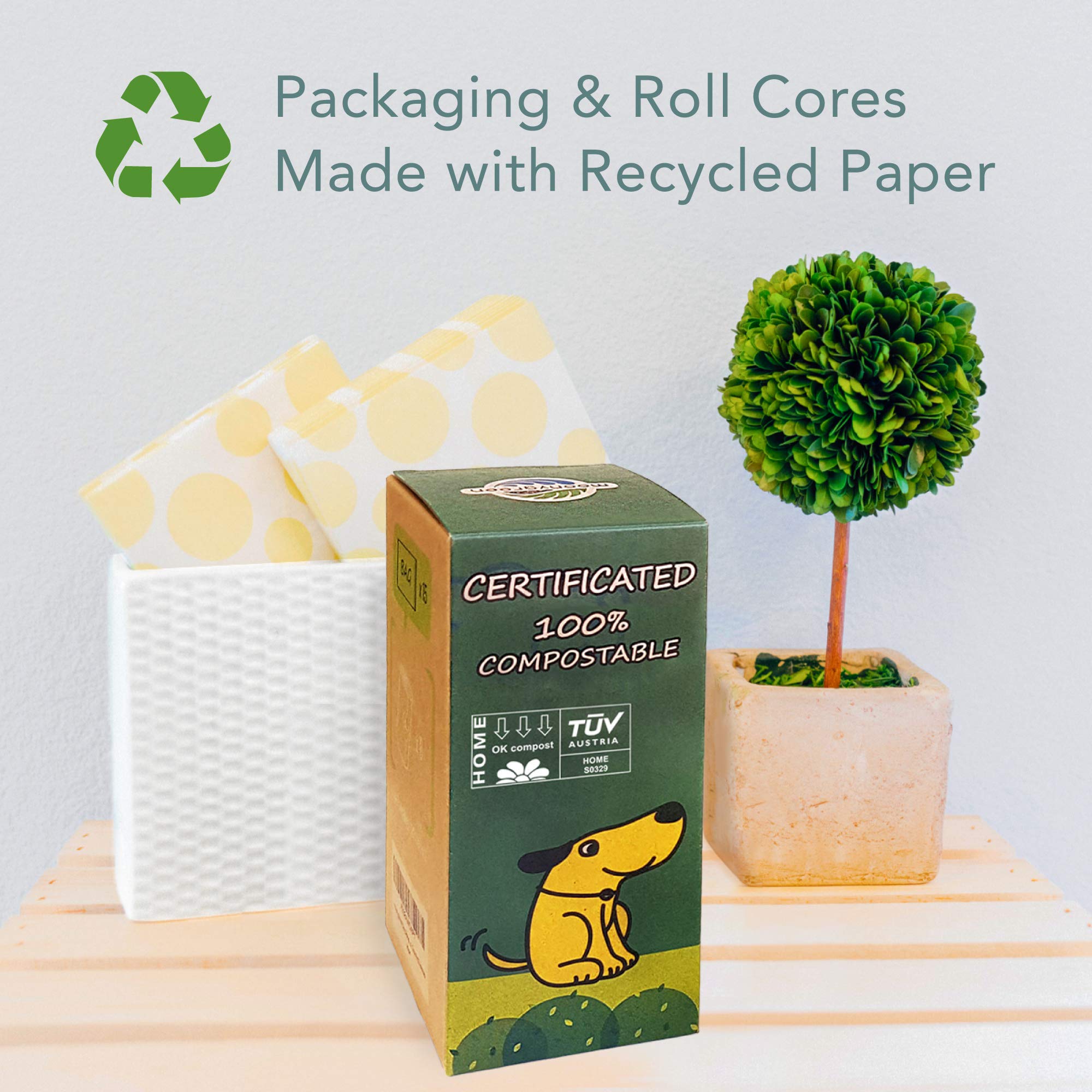 Moonygreen eco-packaging uses recycled cores and paper boxes for lower footprint