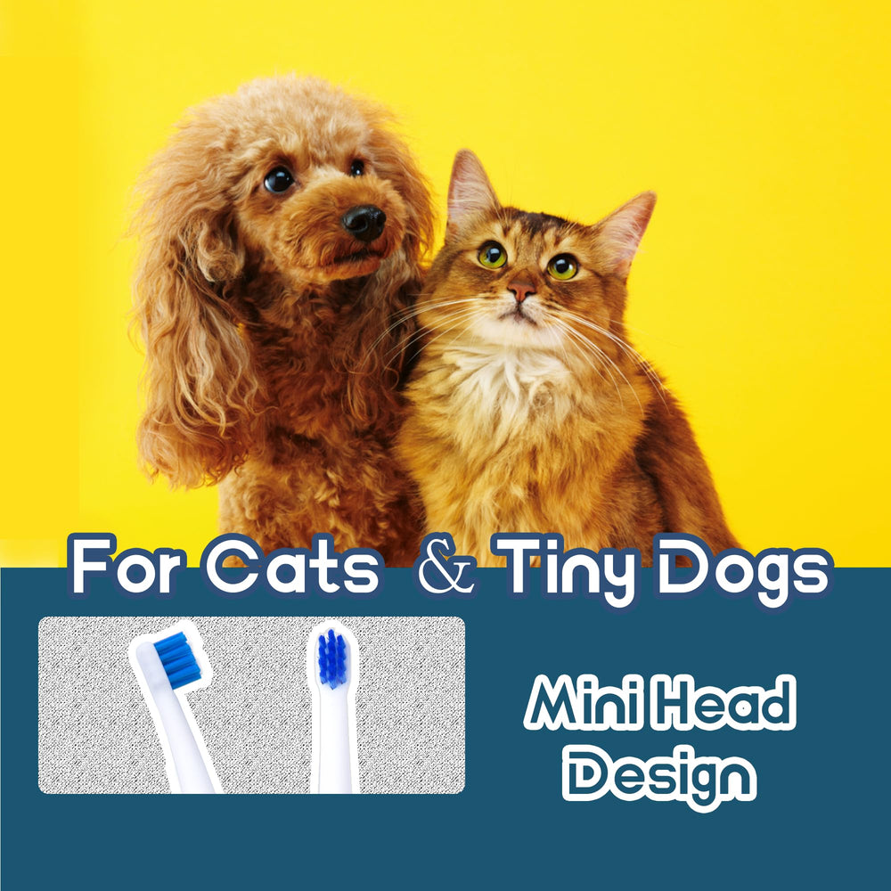 MoonyMars cat-toothbrush mini-head designed for tiny mouths and thorough deep-cleaning.