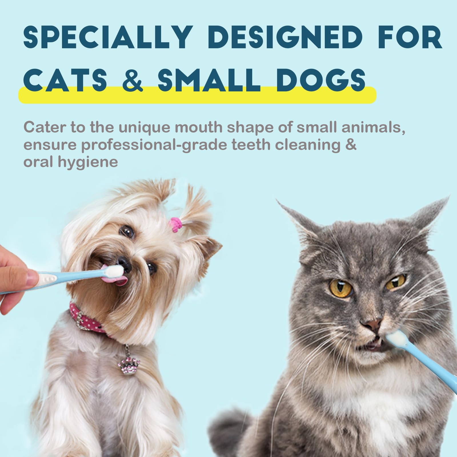 MoonyMars mini-head toothbrush blue reaches tight spots for cats and small dogs.