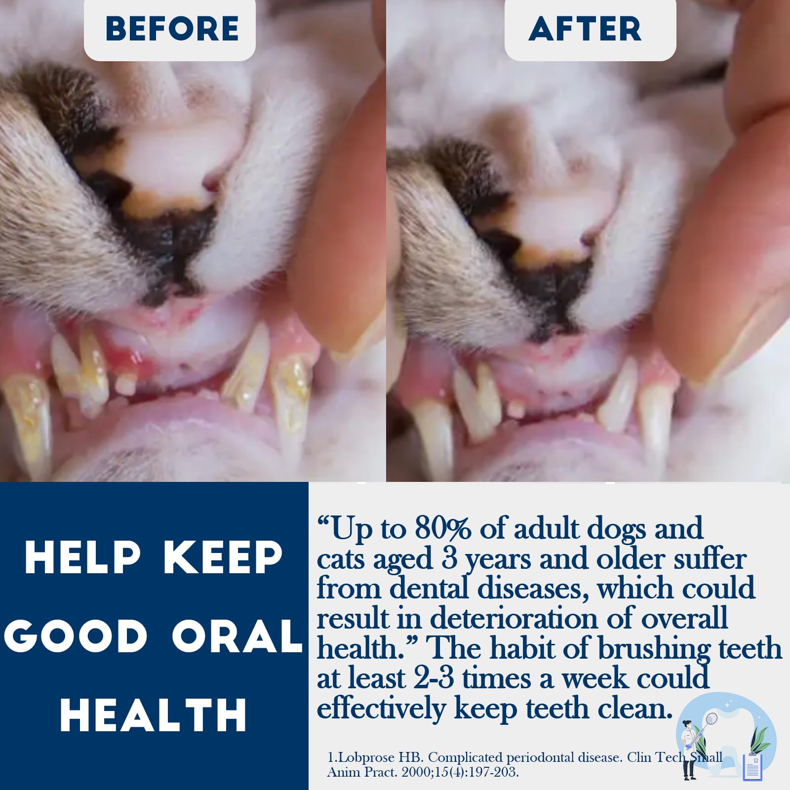 MoonyMars pet oral care routine supports kitten and tiny-pet brushing habits.
