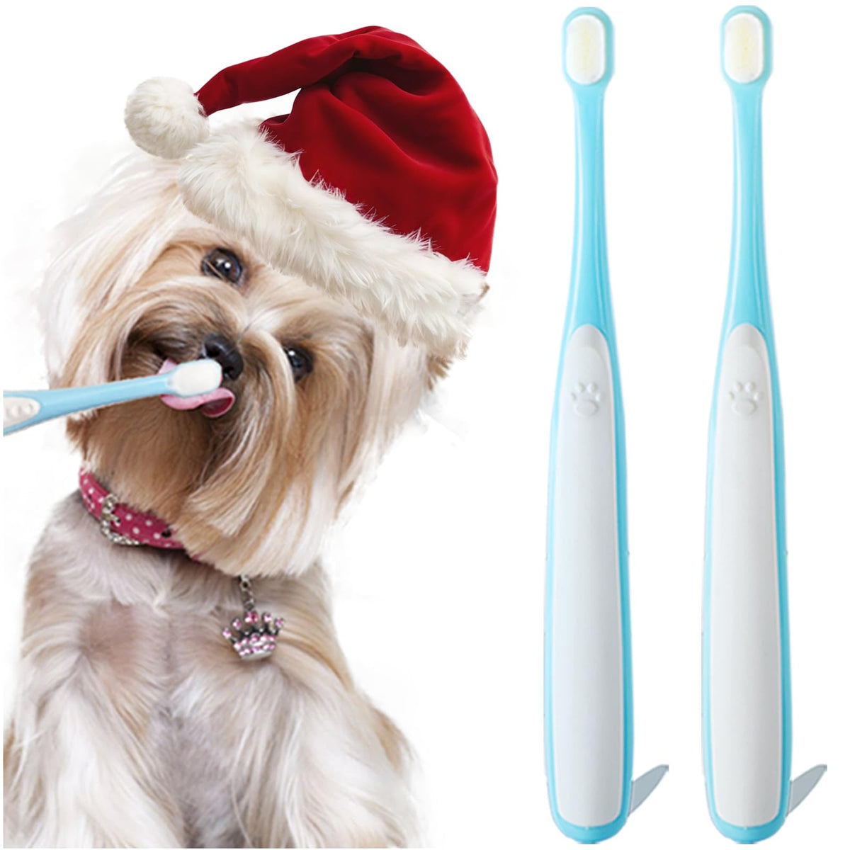 MoonyMars small dog toothbrush kit blue with two brushes for easy at-home dental care.