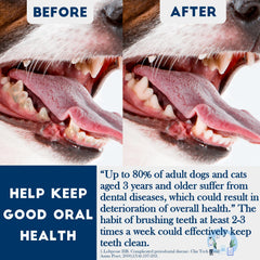 MoonyMars white flat head toothbrush for medium to large pets.