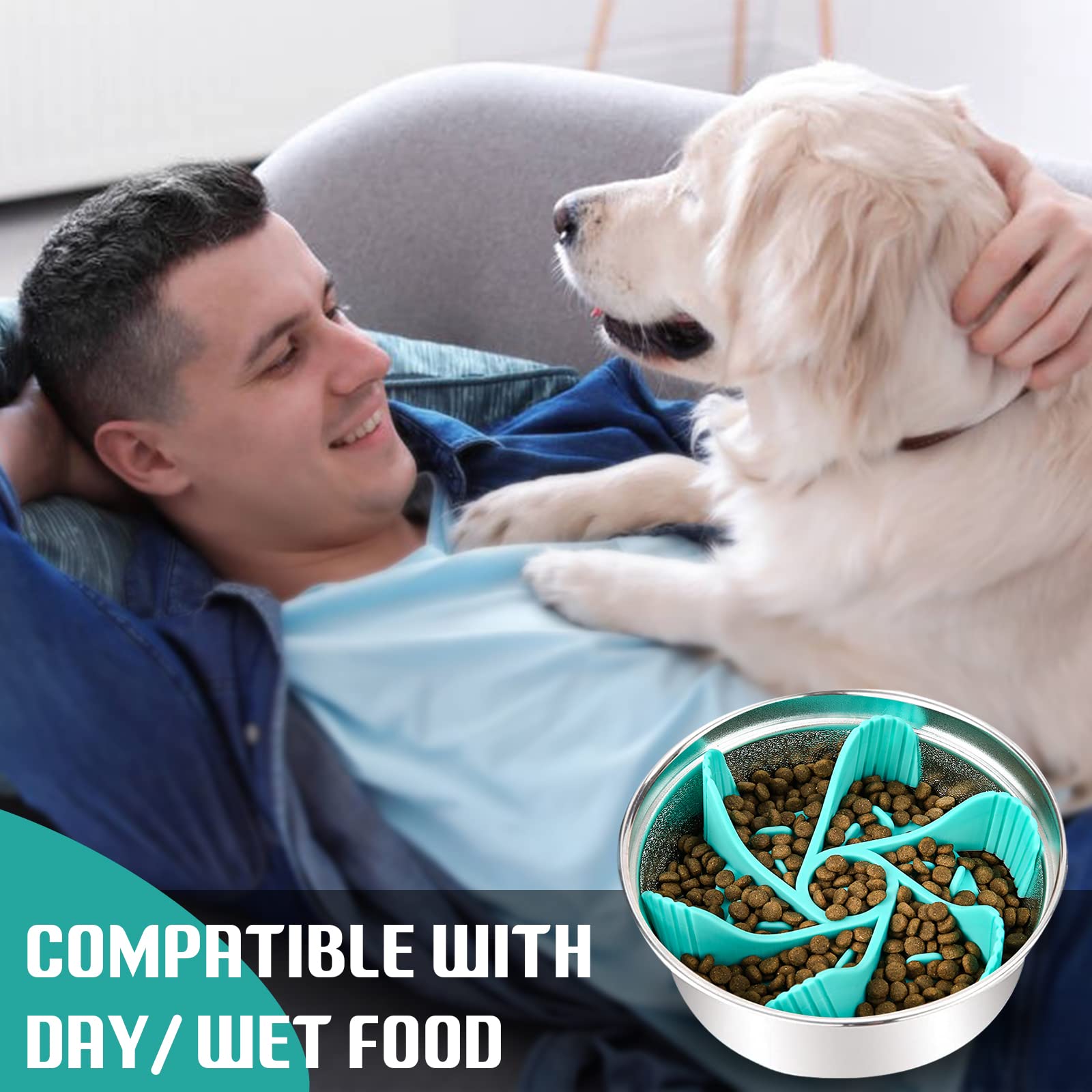 MooonGem 2-pack offers ready options for households with multiple pets.