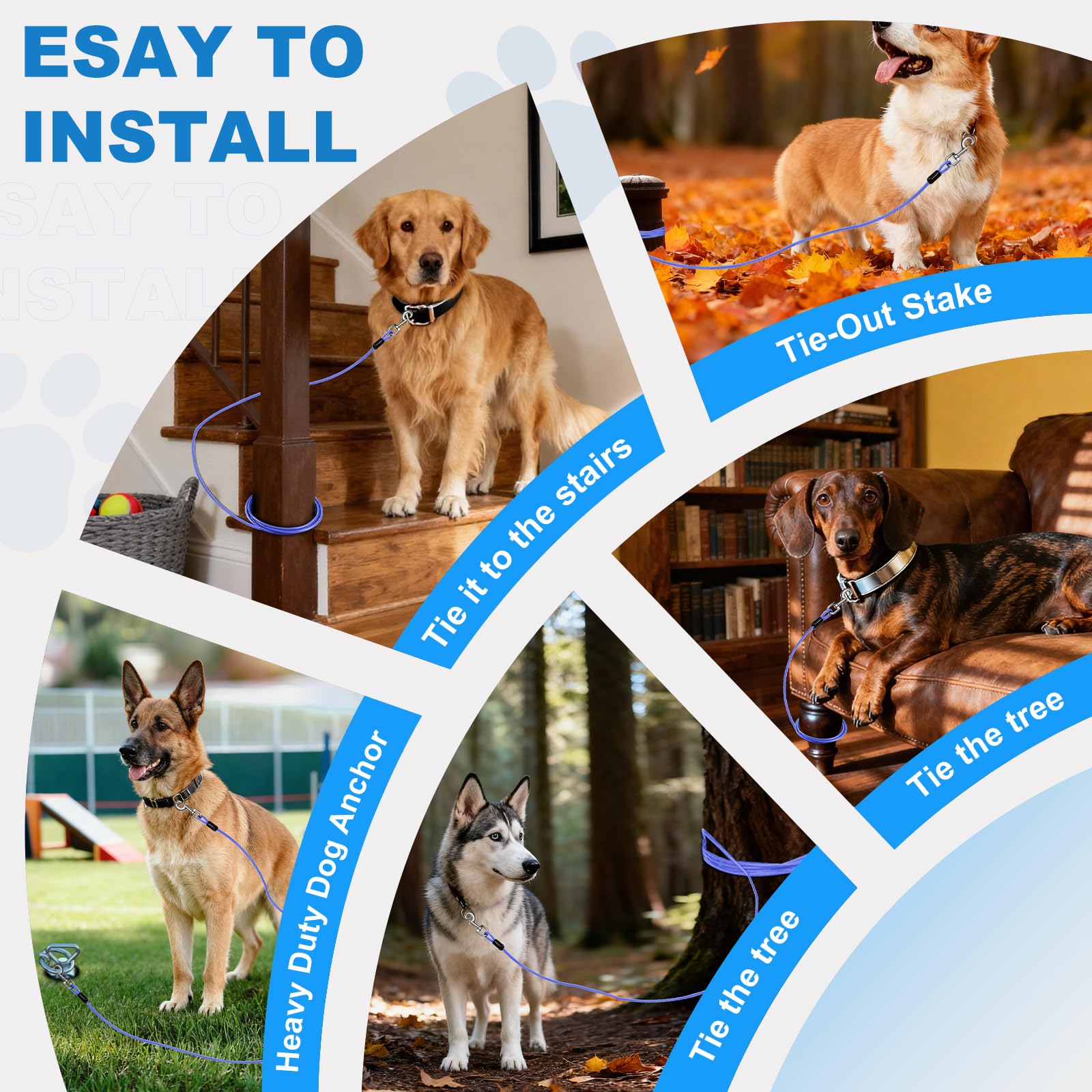 MooonGem outdoor setup demonstrates color and size options for versatile use.