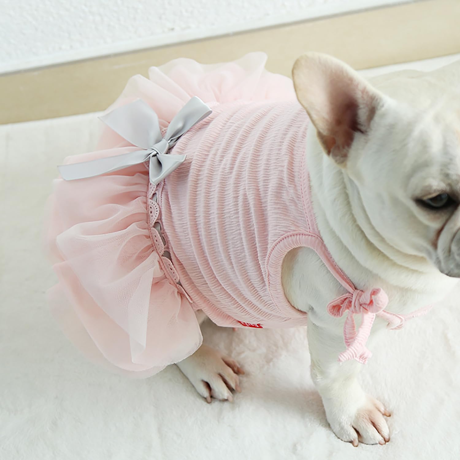 Moorfowl French Bulldog Princess Pink Tutu Dress color variation hints at sweet, photogenic styling