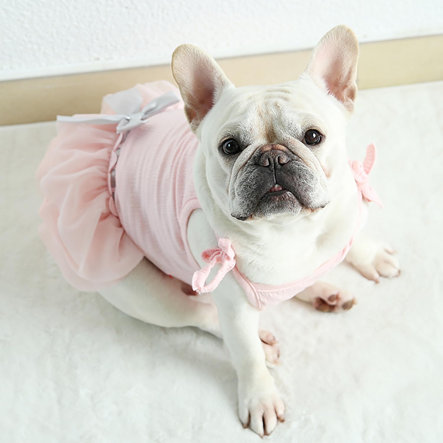 Moorfowl French Bulldog Princess Pink Tutu Dress gauze skirt closeup highlights airy softness