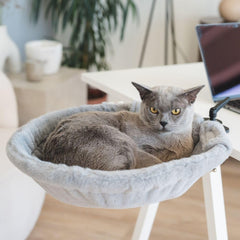 Moose Cozy cat desk bed with a stable clamp for secure mounting and safe use.