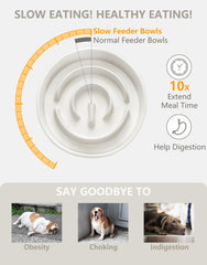 MOPANG dishwasher-safe ceramic bowl for easy cleanup after meals.