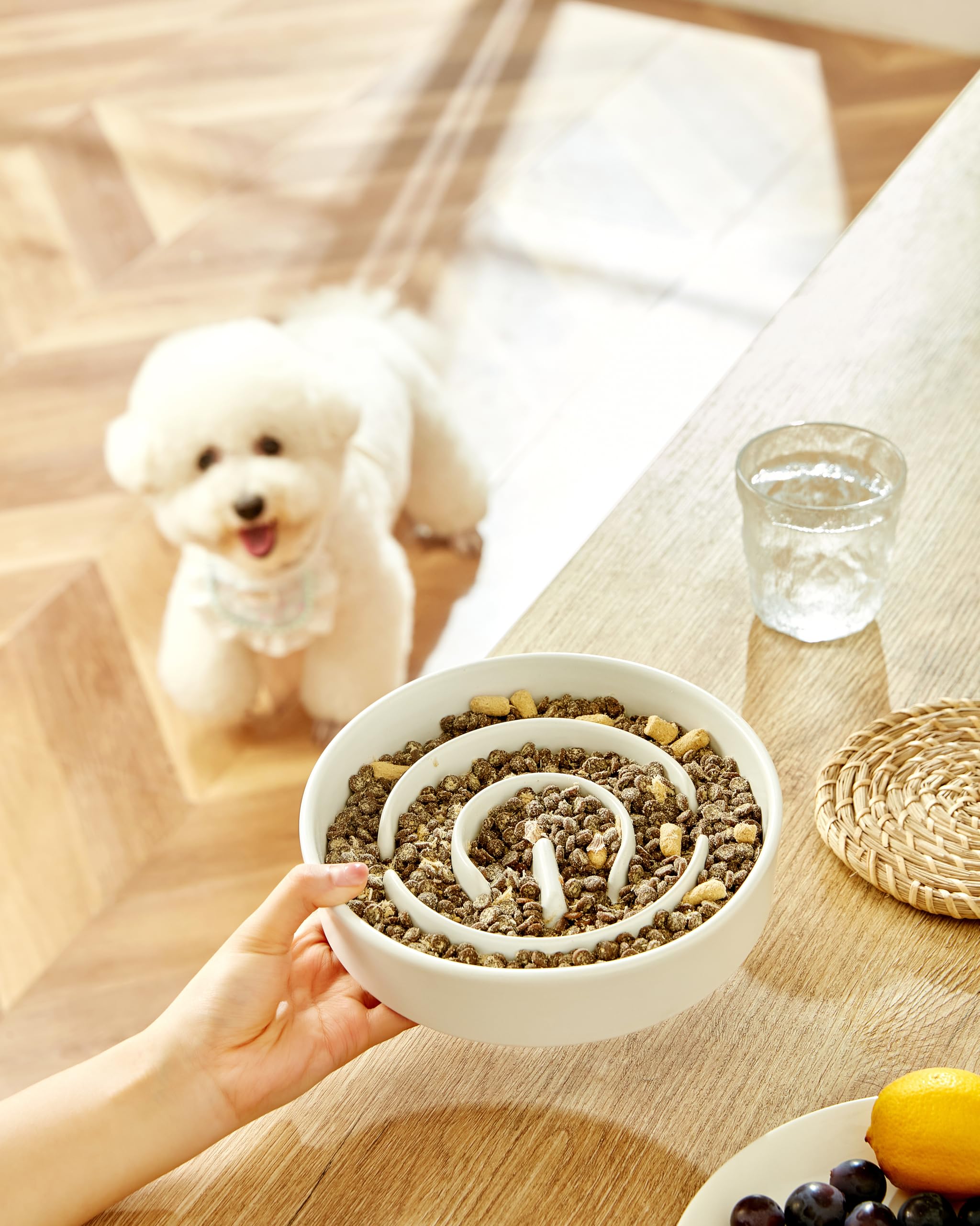 MOPANG ceramic slow feeder with maze design stimulates puzzle feeding.
