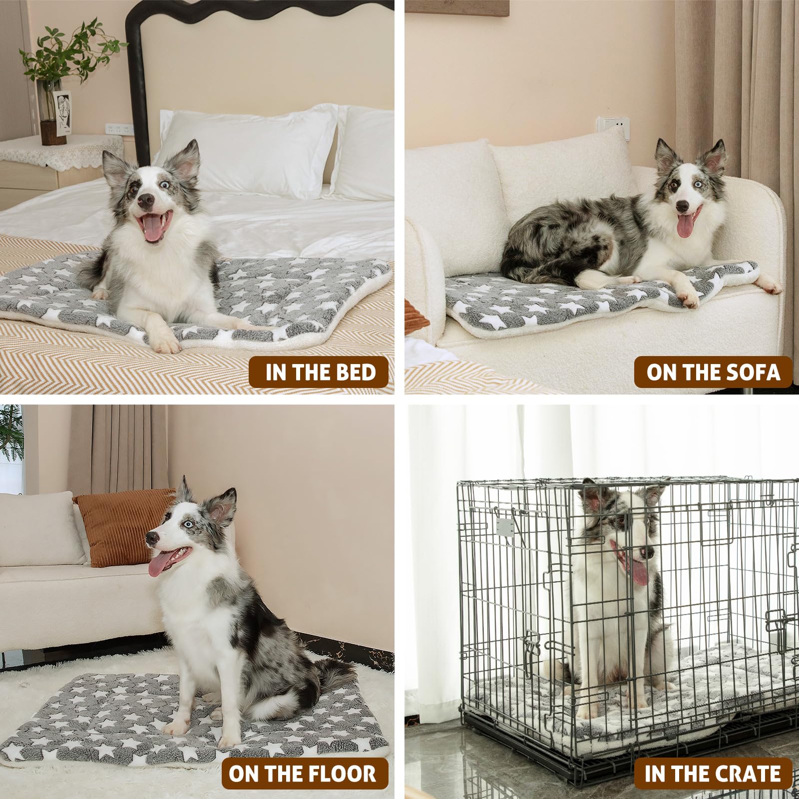Mora Pets cat bed liner variant adds comfort for multi-pet homes.