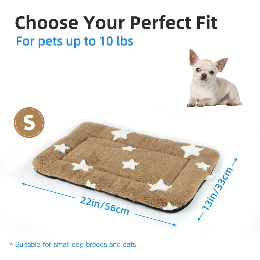 Mora Pets pre-use tips image shows care guide and eco-friendly packaging.