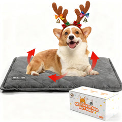 Mora Pets self-heating bed front view highlights cozy warmth for cats and small dogs.
