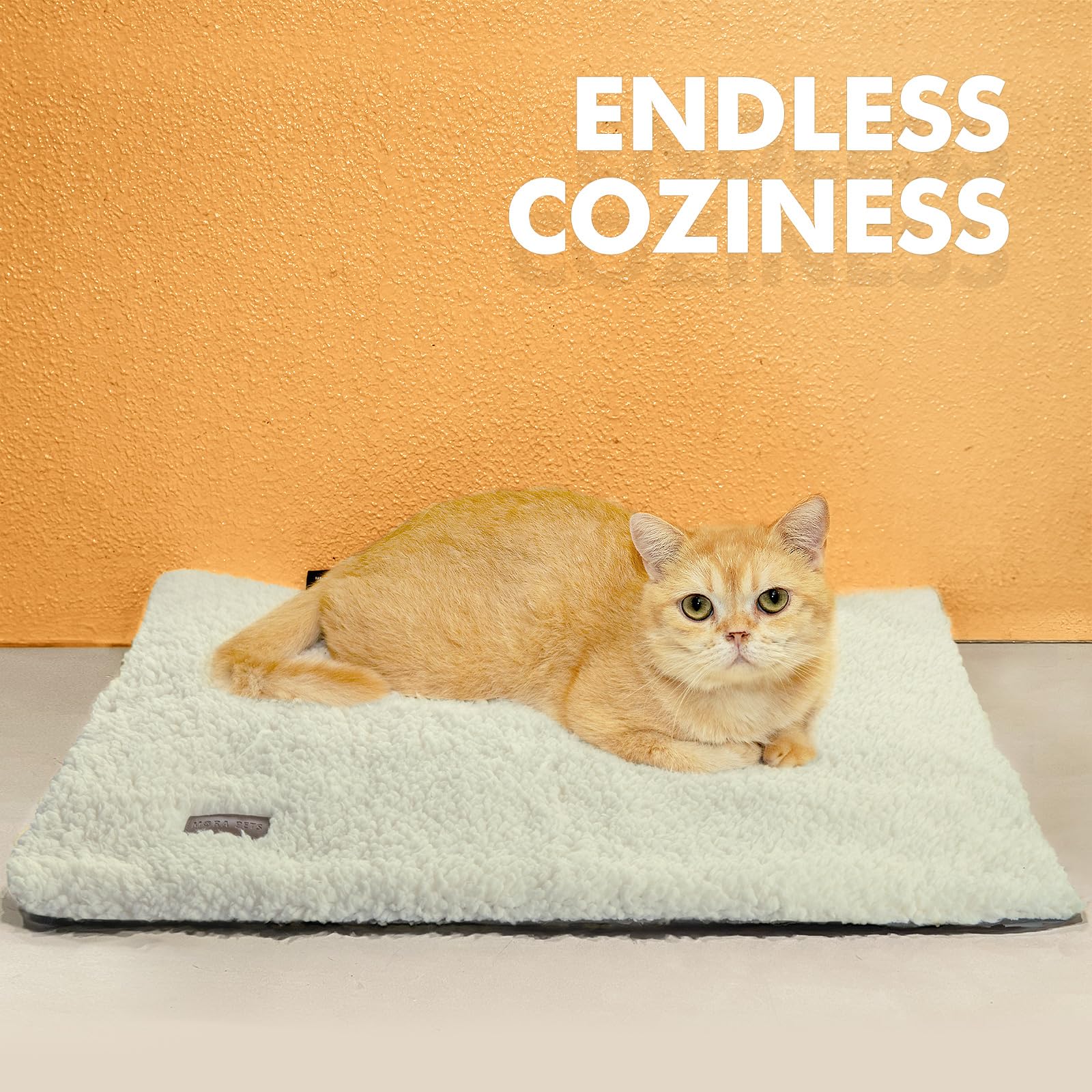 Mora Pets indoor-outdoor use demonstrates versatile warmth anywhere