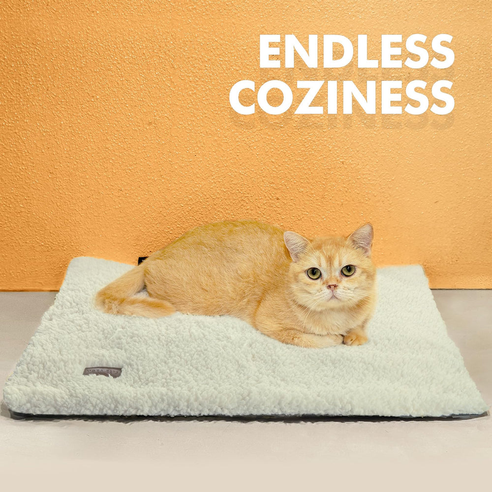 Mora Pets indoor-outdoor use demonstrates versatile warmth anywhere